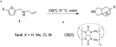 Toward Understanding CB[7]-Based Supramolecular Diels-Alder Catalysis